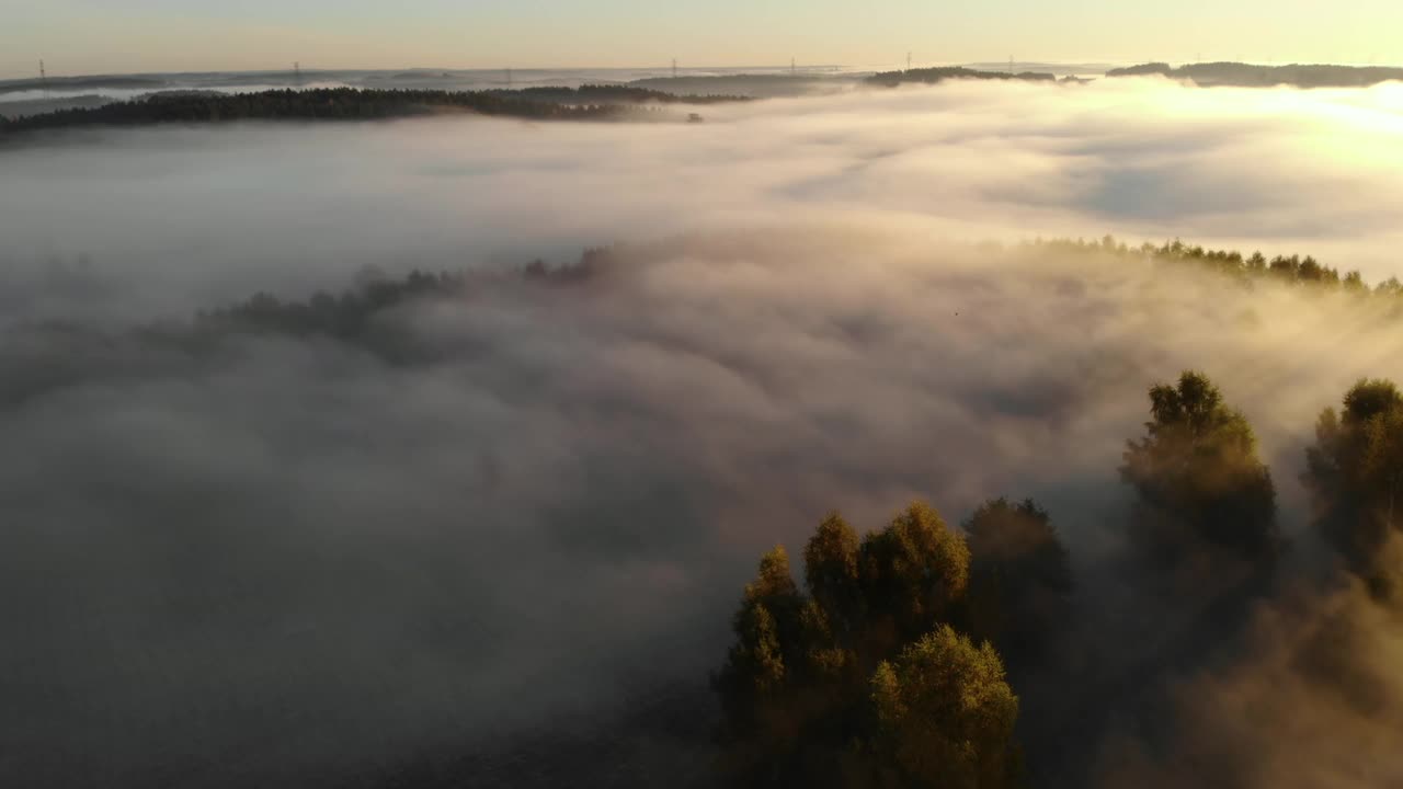 鸟瞰图。雾蒙蒙的乡村的日出。魔法雾到地平线。壮丽的自然景观。令人惊叹的鸟瞰图的雾蒙蒙和五颜六色的树木在日出。秋天的雾景观。雄伟的雾森林视频素材