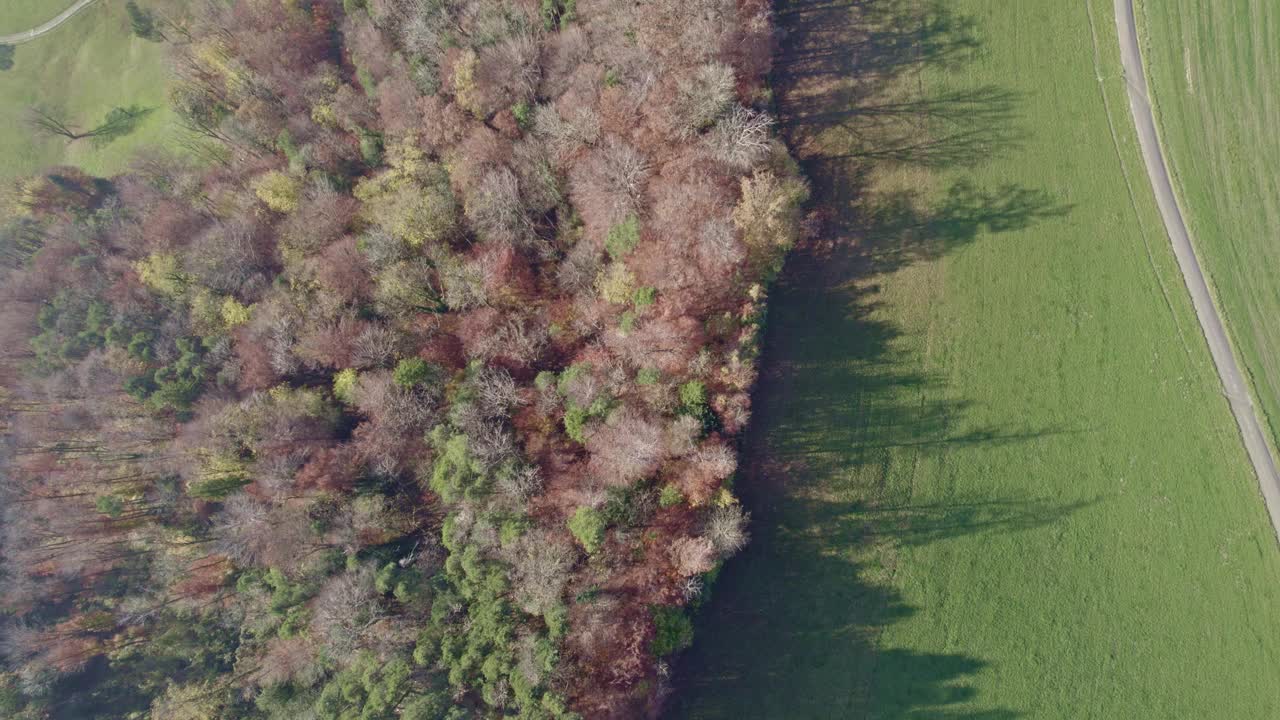 在一个阳光明媚的秋日，在广州Zürich的乌特liberg和Albis地区的风景。视频下载