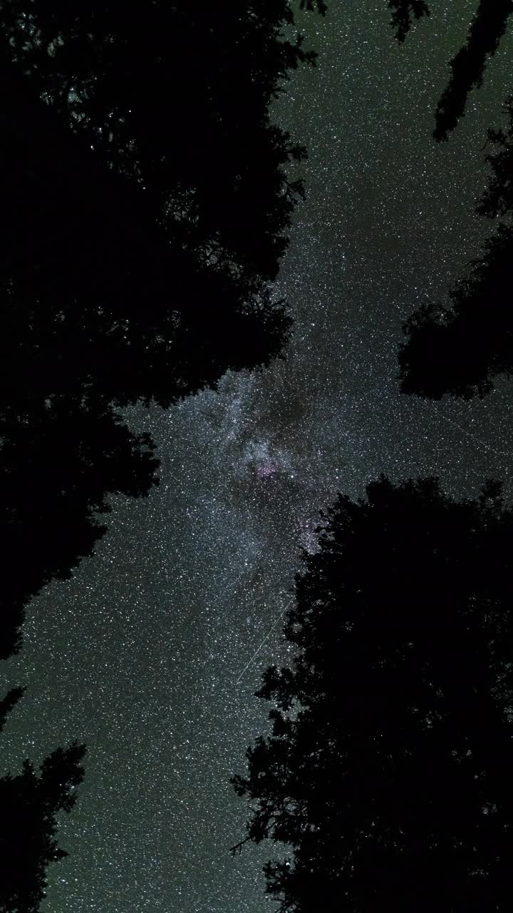 银河在夜晚穿过树林视频素材