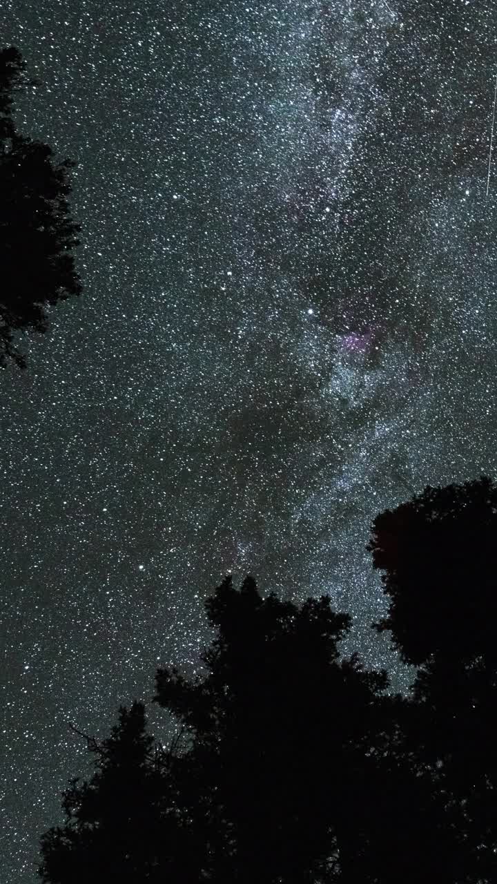 银河在夜晚穿过树林视频素材