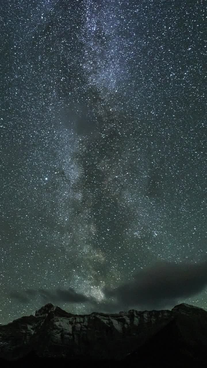 银河在夜晚穿过树林视频素材