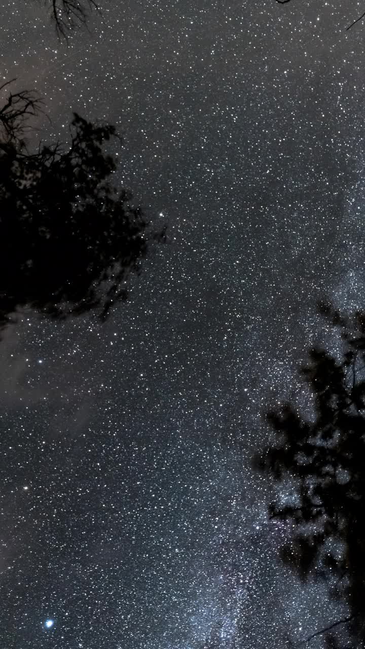 银河在夜晚穿过树林视频素材