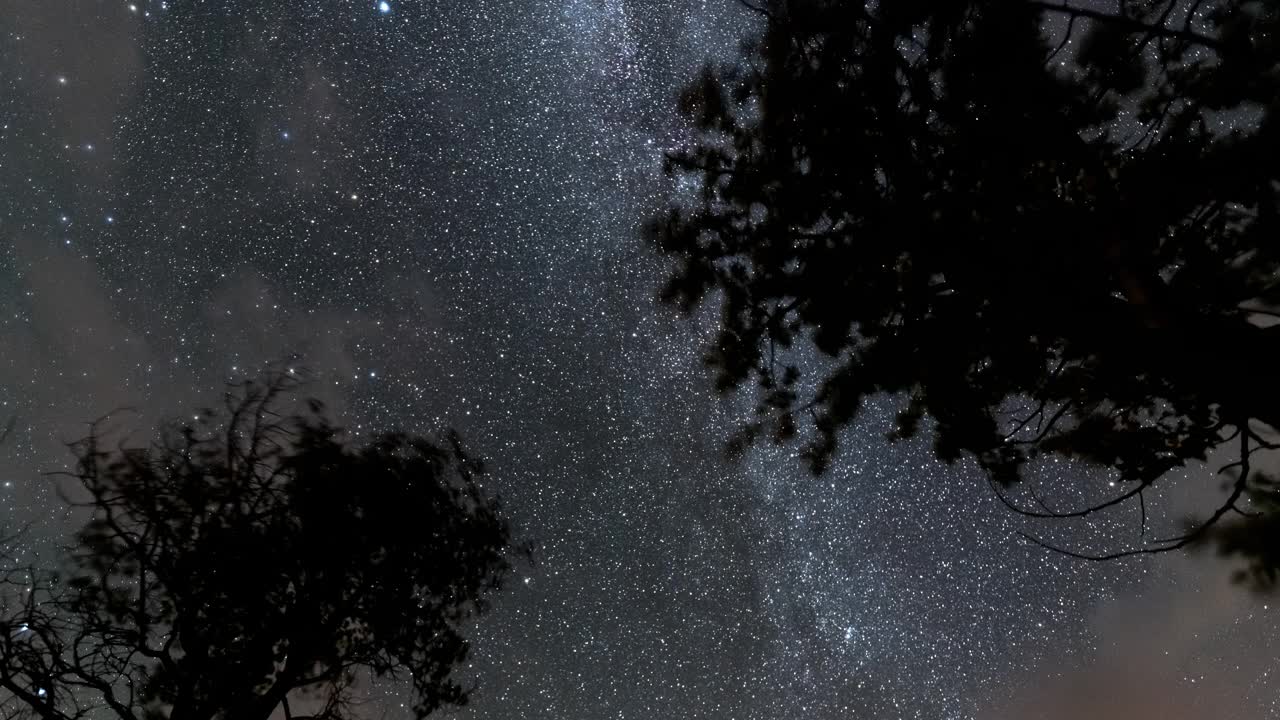 银河在夜晚穿过树林视频素材