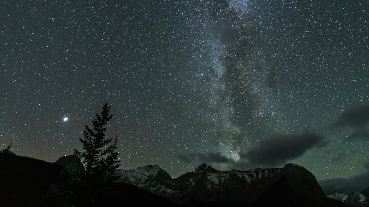 银河在夜晚穿过树林视频素材