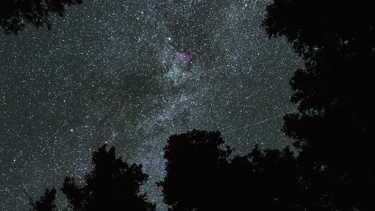 银河在夜晚穿过树林视频素材