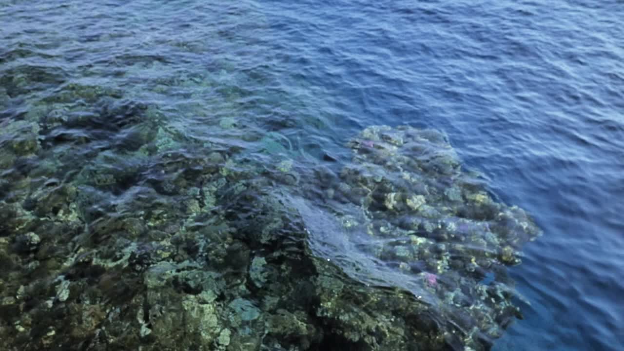 红海潮流。海岸附近的移动情况。水中的涟漪视频素材