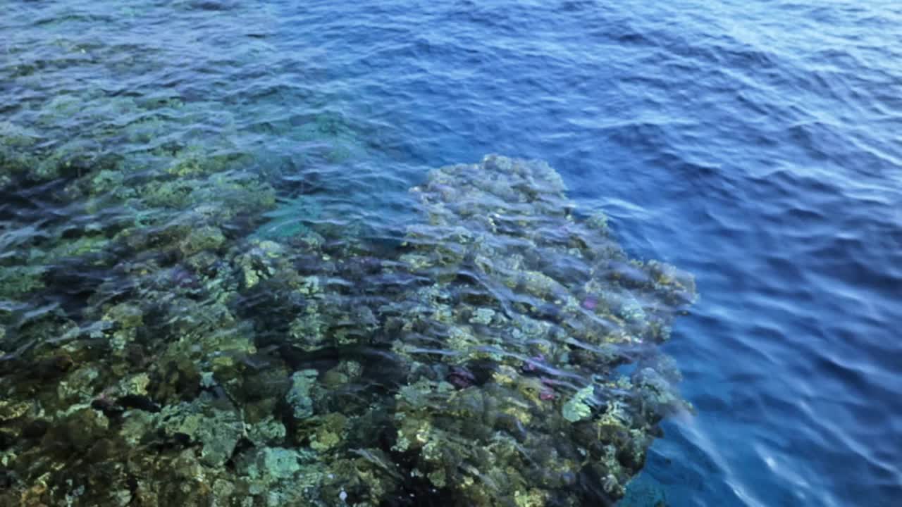 红海潮流。海岸附近的移动情况。水中的涟漪视频素材