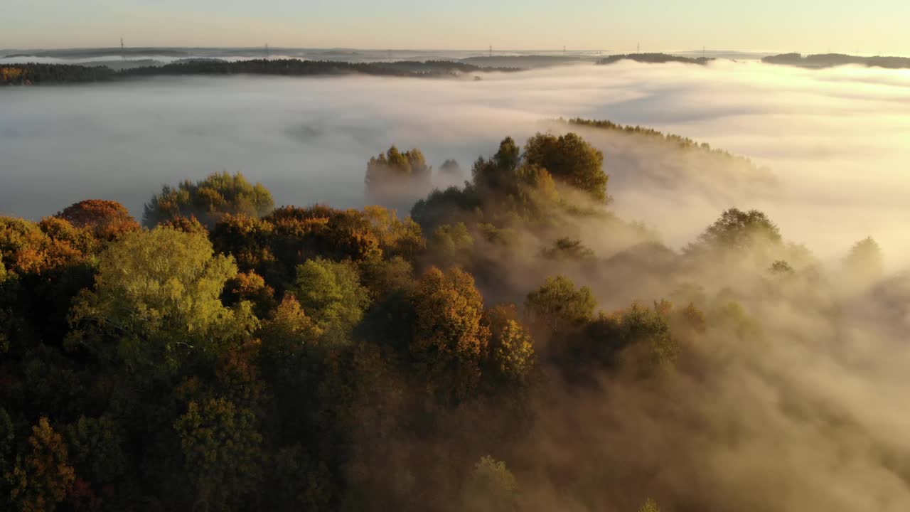 鸟瞰图。朦胧乡村的日出。魔法雾到地平线。壮丽的自然景观。令人惊奇的鸟瞰图雾和五颜六色的树木在日出。秋天的雾景观。雄伟的雾森林视频素材