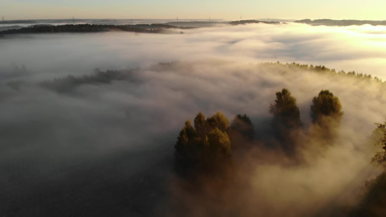 鸟瞰图。朦胧乡村的日出。魔法雾到地平线。壮丽的自然景观。令人惊奇的鸟瞰图雾和五颜六色的树木在日出。秋天的雾景观。雄伟的雾森林视频素材