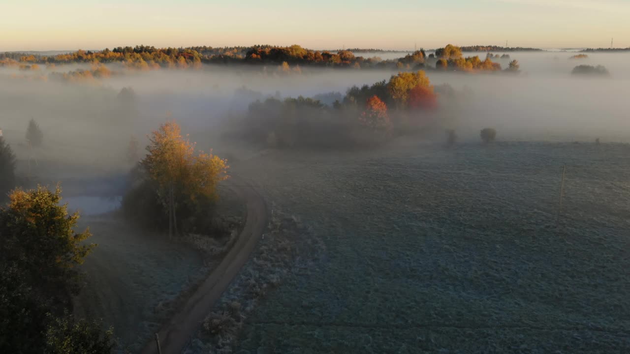 鸟瞰图。朦胧乡村的日出。魔法雾到地平线。壮丽的自然景观。令人惊奇的鸟瞰图雾和五颜六色的树木在日出。秋天的雾景观。雄伟的雾森林视频素材