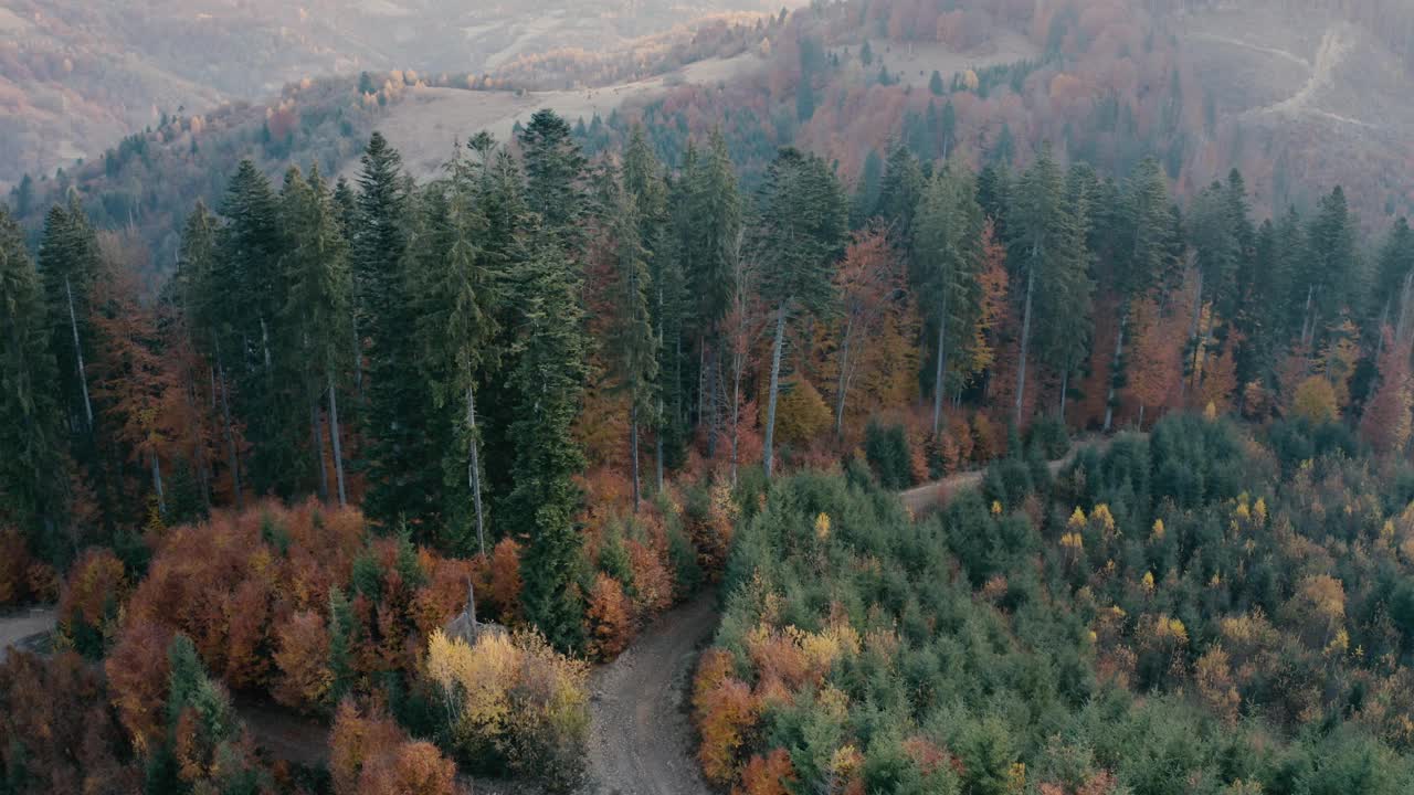 秋季在山区针叶林和落叶林。无人机的观点。视频素材