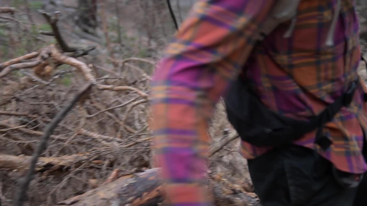 一名头戴帽子的长发白人男子背着背包，拄着追踪棒，在山上的松林中沿着森林小径行走视频素材