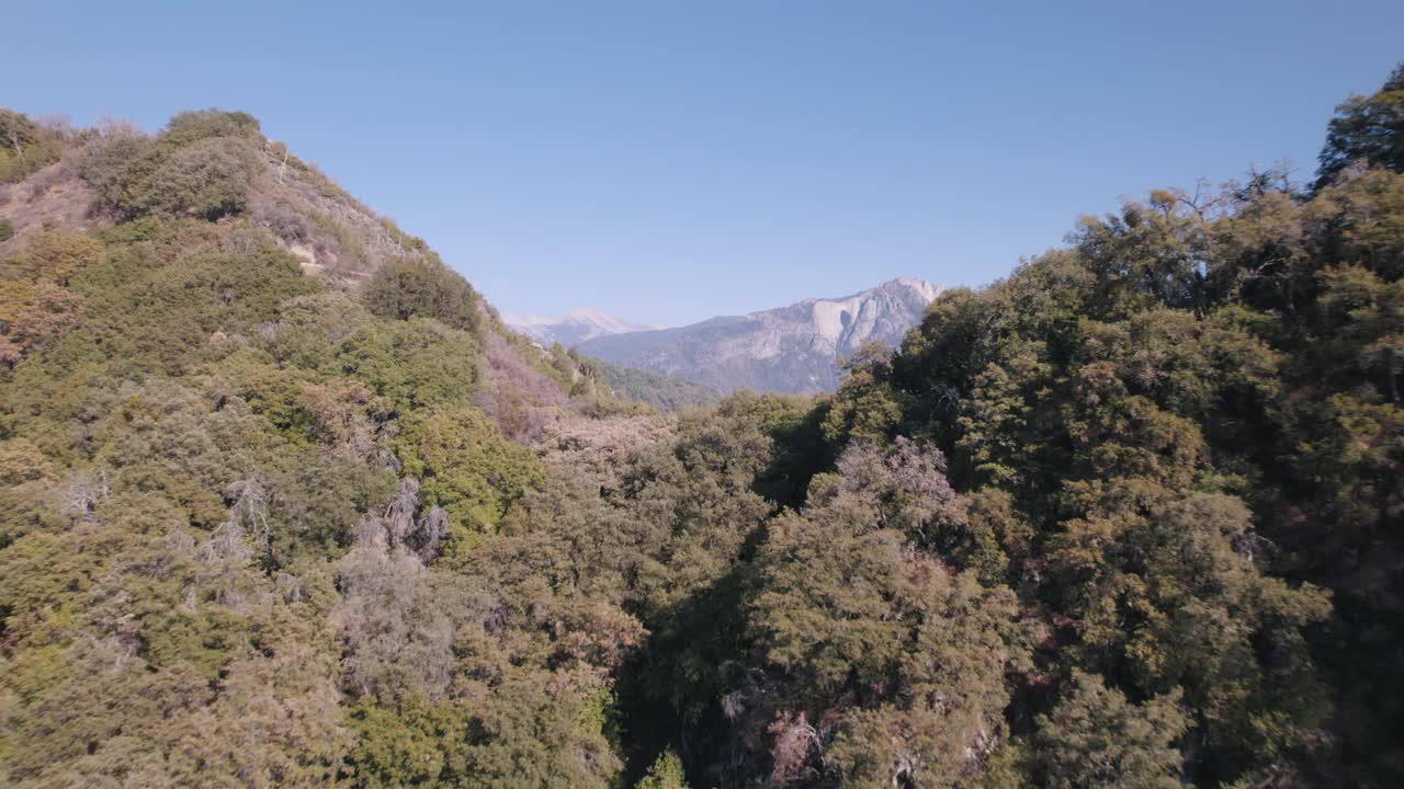 无人机拍摄的内华达山脉山峰附近的红杉国家公园。俯瞰原始森林。美国加州。视频下载