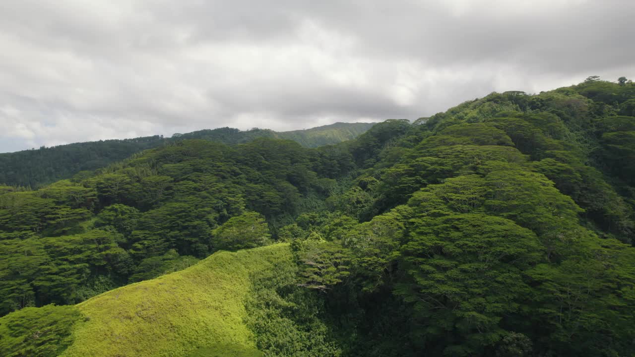 法属波利尼西亚异国情调的热带山脉鸟瞰图。火山岛上的雨林。多雨的天气视频下载