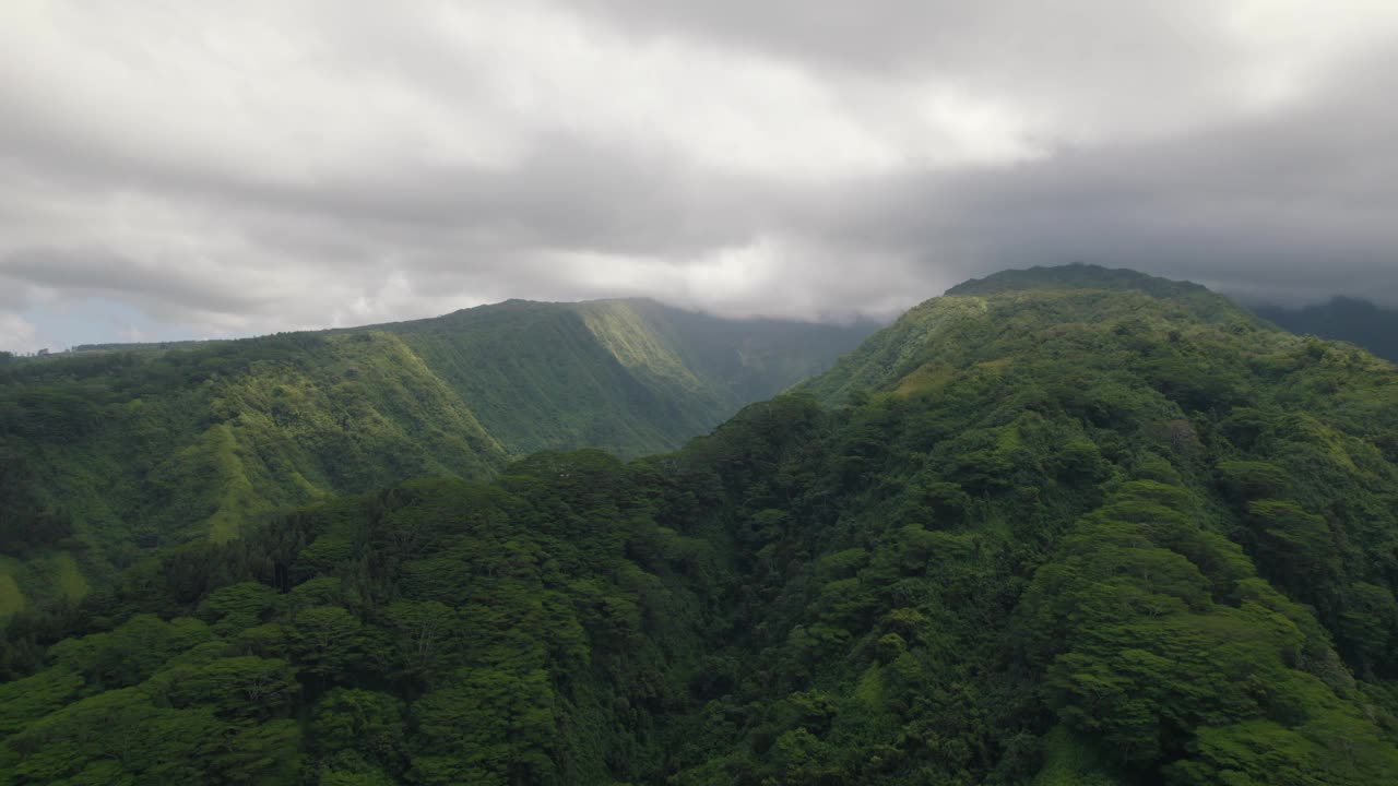 法属波利尼西亚异国情调的热带山脉鸟瞰图。火山岛上的雨林。多雨的天气视频下载