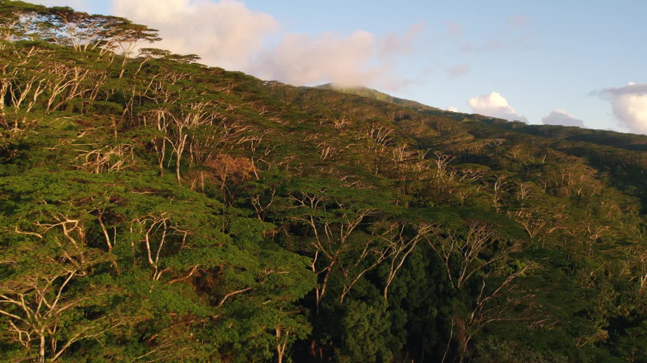 日落时热带火山和岛屿森林的航拍图。法属波利尼西亚和塔希提的自然风光。视频下载