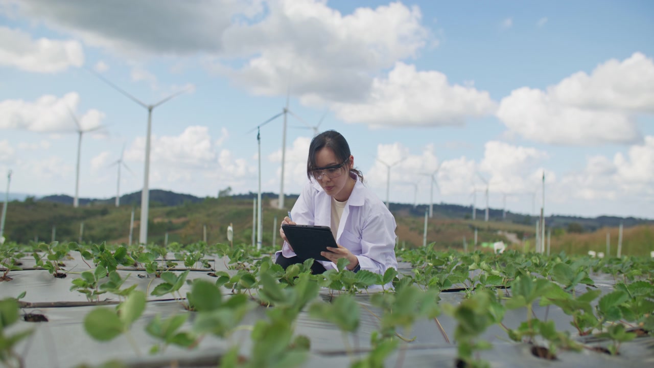 科学家对她农场里的植物进行分析视频素材画面3