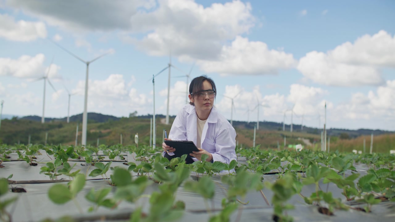 科学家对她农场里的植物进行分析视频素材画面4
