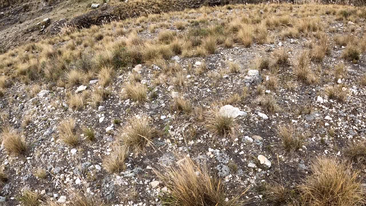 以第一人称视角，沿着布满石头和植被的陡峭山峰向下跋涉，发现没有路可走。秘鲁瓦拉兹高地的拉古纳弧度视频素材