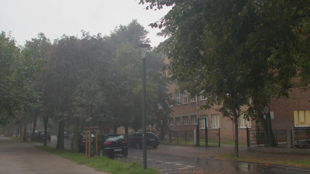 雨点落在城市街道上。树在水中。植物的自然浇水。视频素材