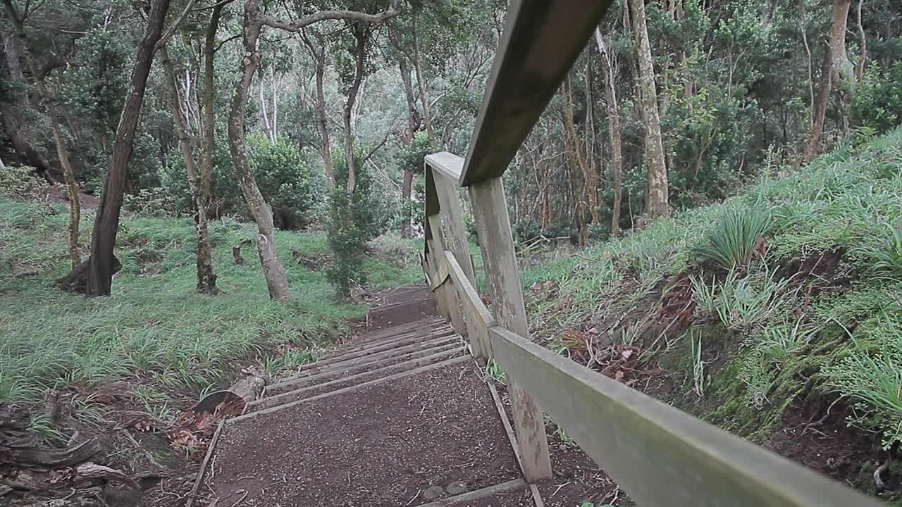 洞穴-岩石-景观-旅游-亚速尔群岛视频素材