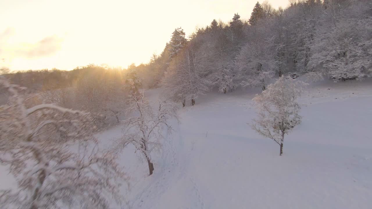 鸟瞰图:金色的冬日早晨，阳光照在田园诗般的雪乡上。视频素材