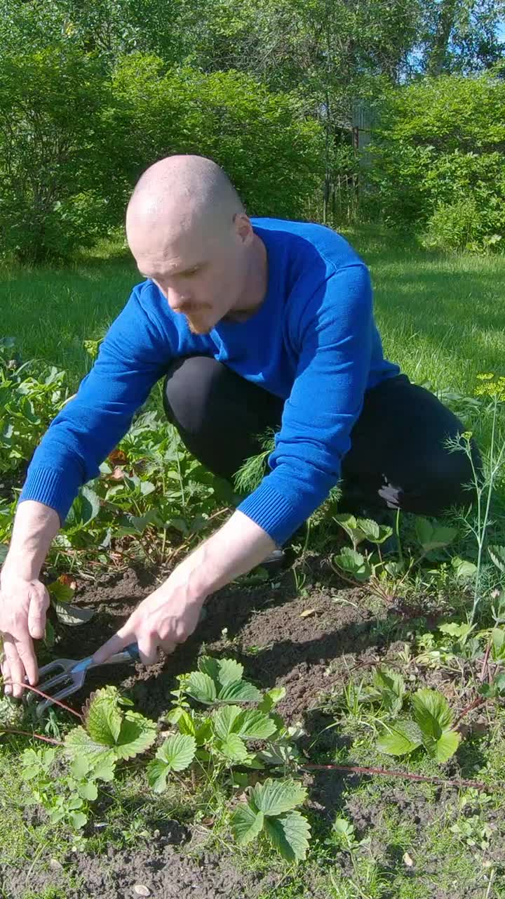 锄草的男人-垂直镜头视频素材