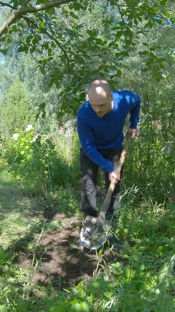 一个男人拿着铲子正在锄苹果树-垂直镜头视频素材