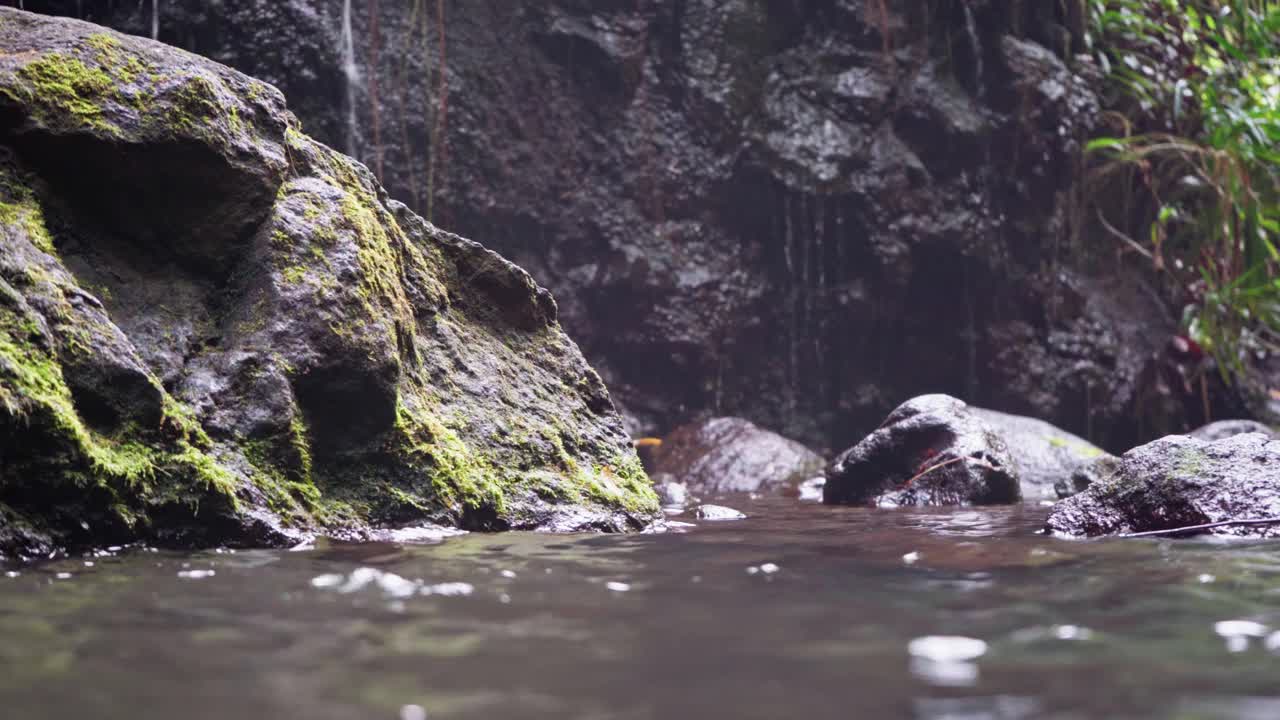 热带河流靠近丛林。火山石瀑布。纯泉火山水概念。视频下载