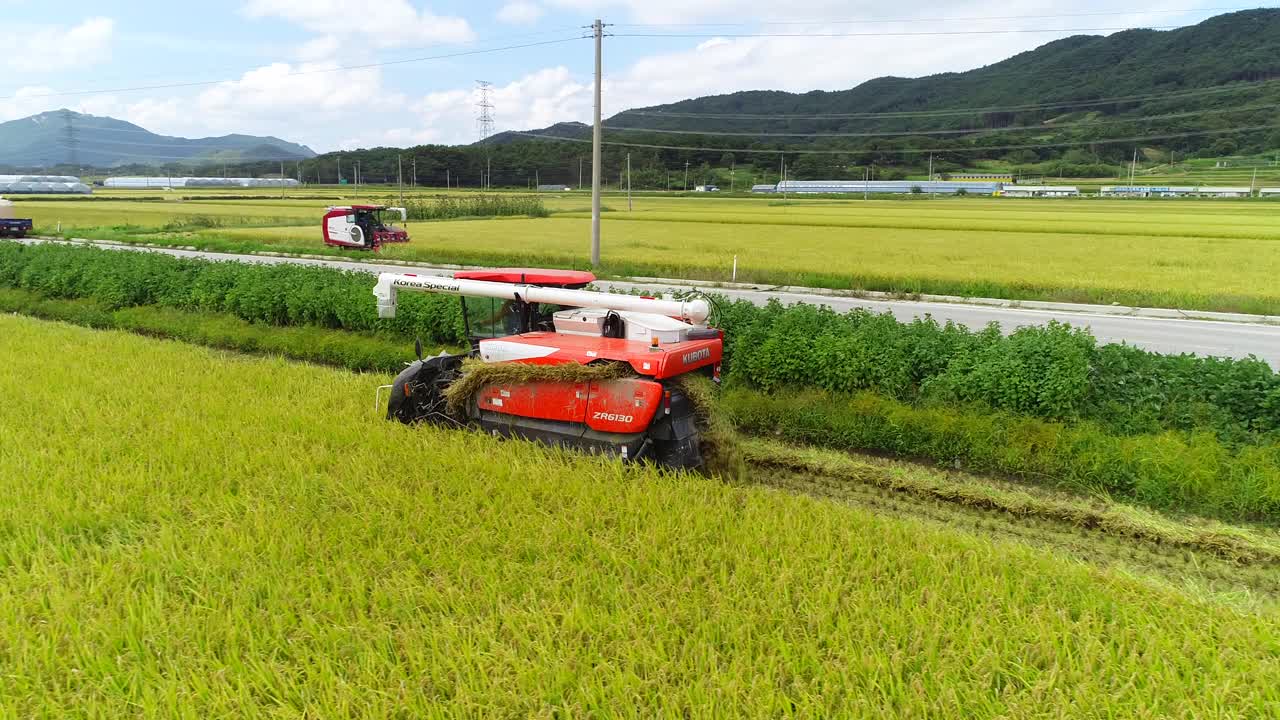 联合收割水稻/南原市，全北道，韩国视频素材