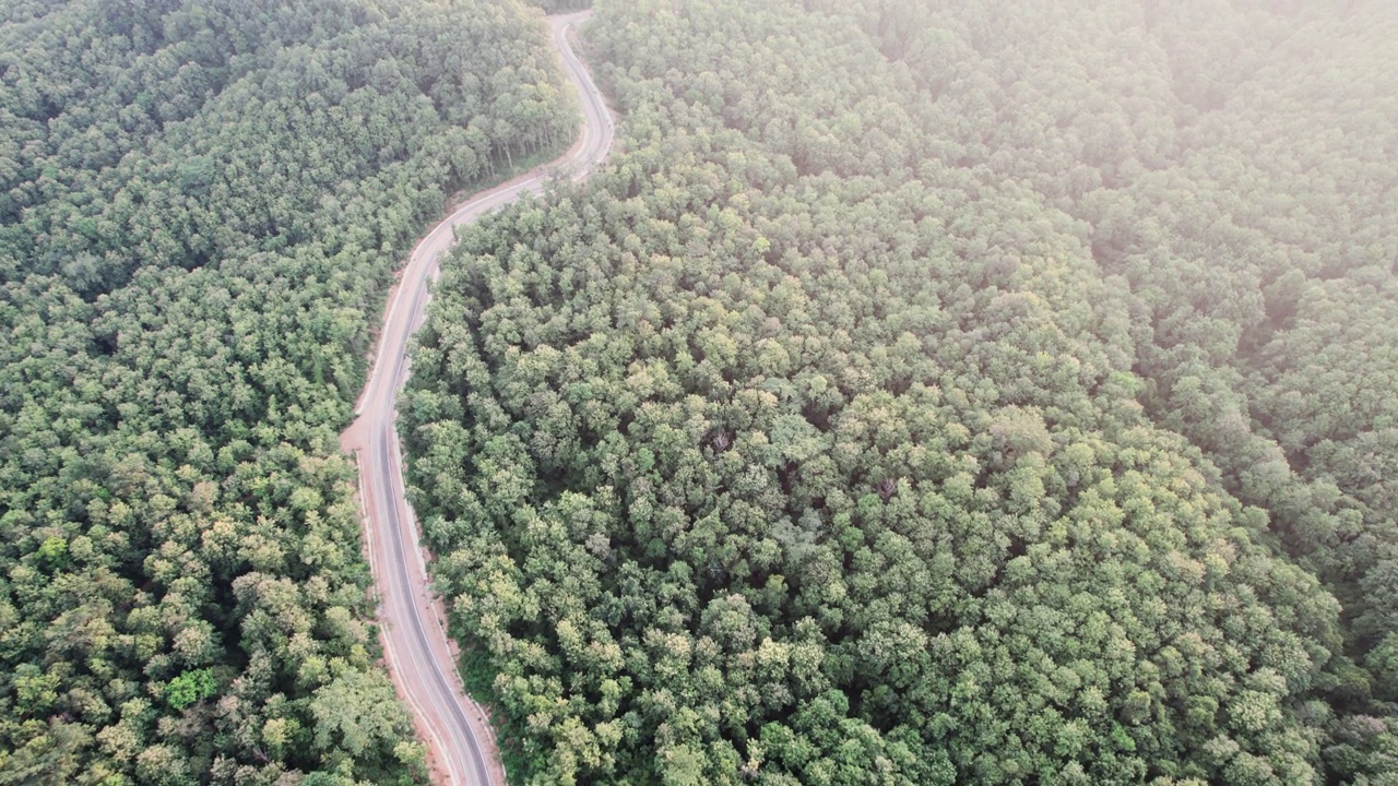 俯瞰通过绿色森林和山的乡村道路视频素材