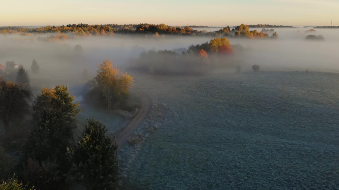 鸟瞰图。朦胧乡村的日出。魔法雾到地平线。壮丽的自然景观。令人惊奇的鸟瞰图雾和五颜六色的树木在日出。秋天的雾景观。雄伟的雾森林视频素材