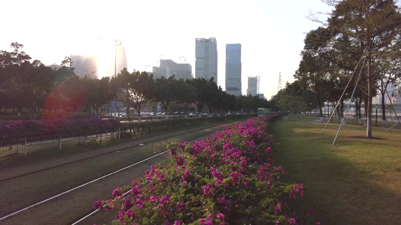 广州城市生活视频素材画面1