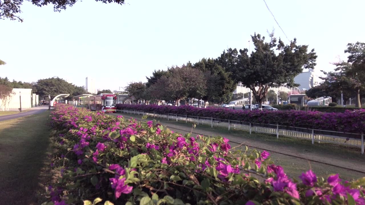 广州城市生活视频素材画面1