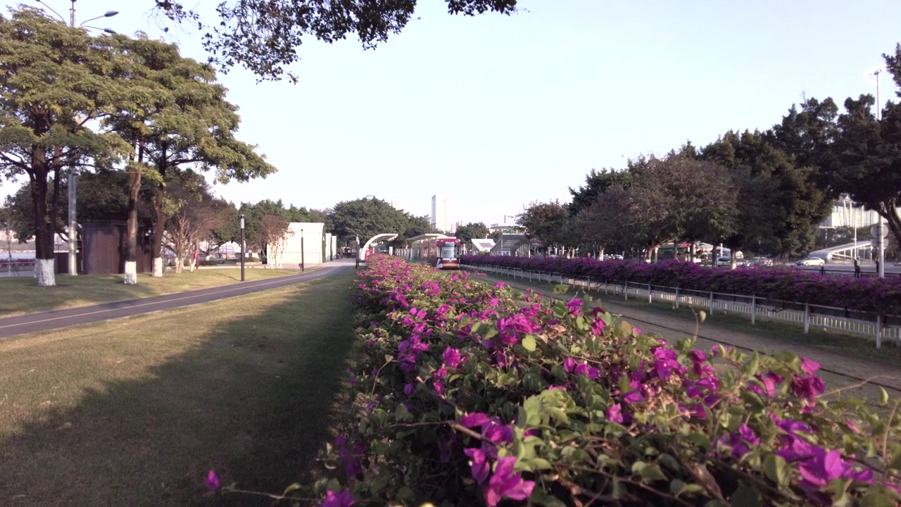 广州城市生活视频素材画面3