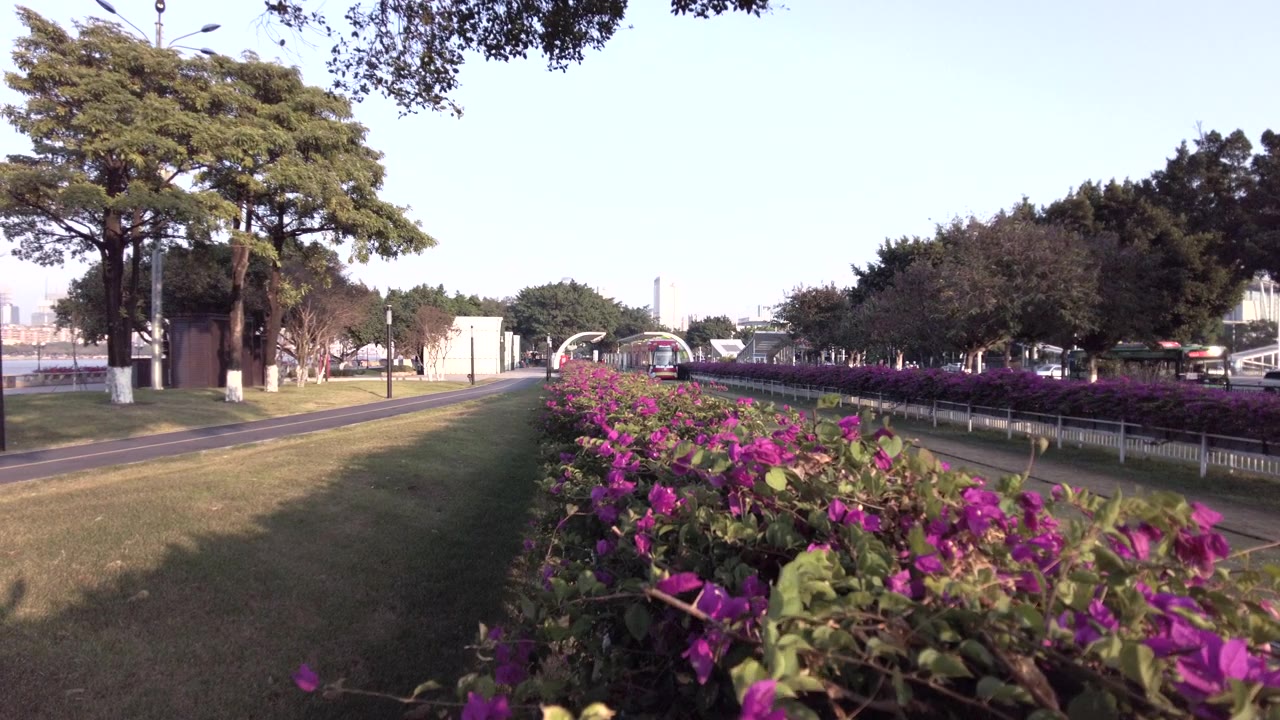 广州城市生活视频素材画面4
