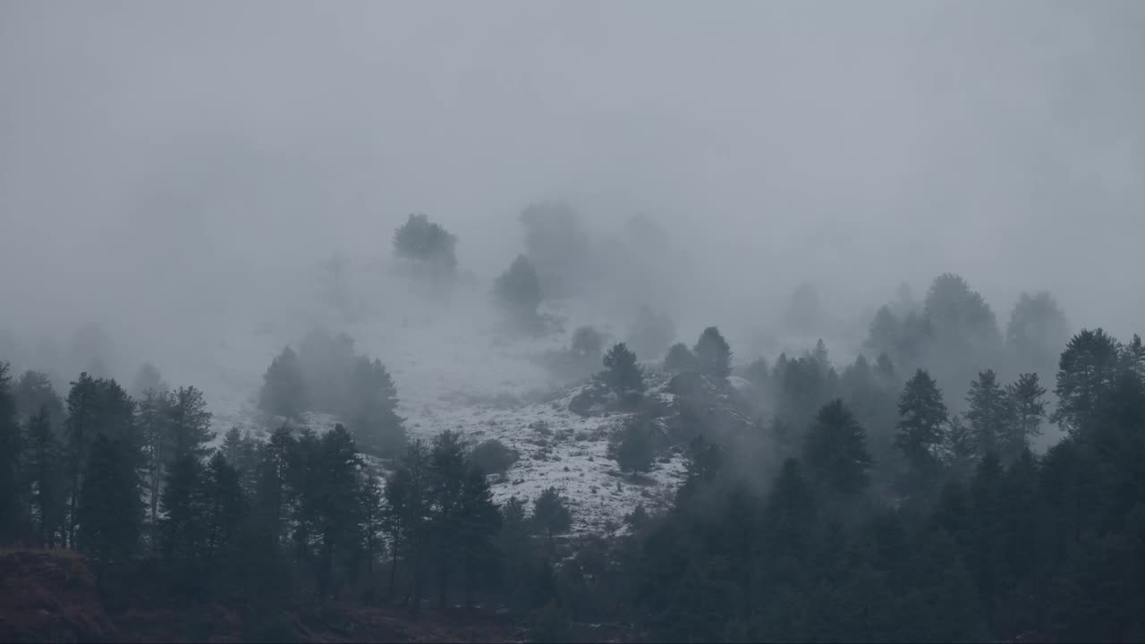 浓雾笼罩着刚被雪覆盖的冬季风景视频素材