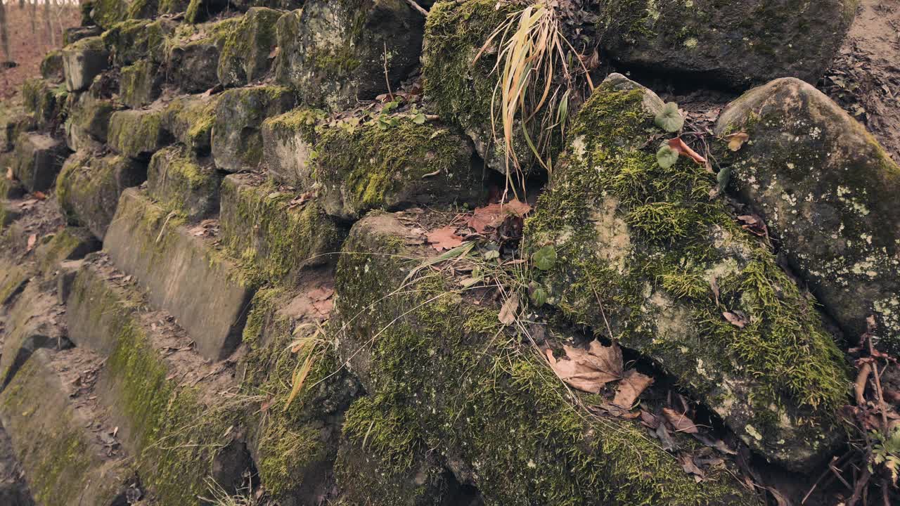 长满青苔的旧砖石建筑。在秋天拍摄。视频素材