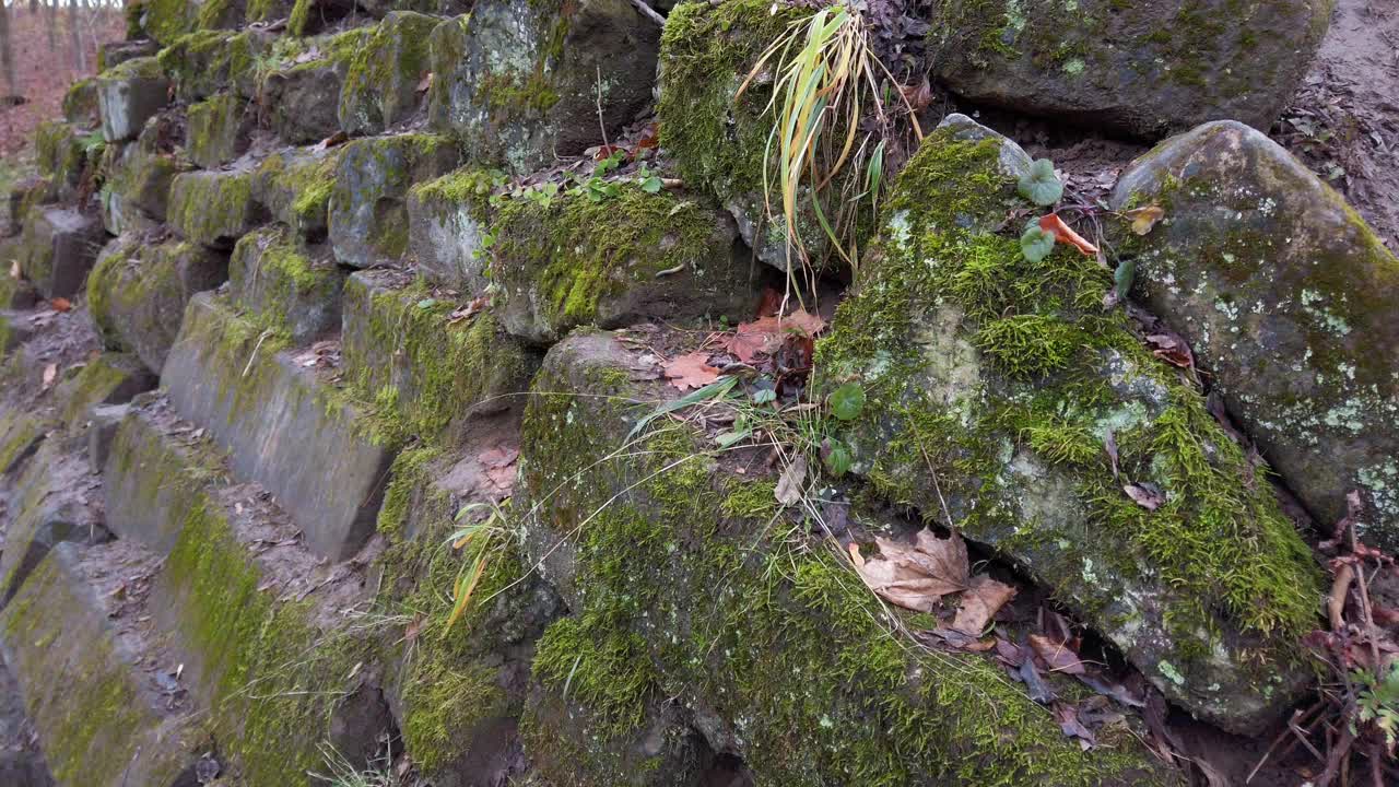 长满青苔的旧砖石建筑。在秋天拍摄。视频素材