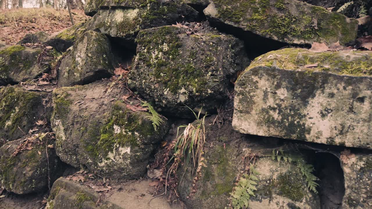 长满青苔的旧砖石建筑。在秋天拍摄。视频素材