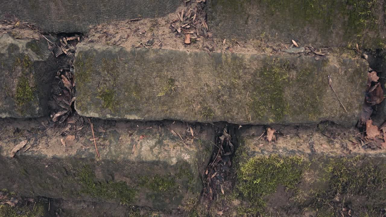 长满青苔的旧砖石建筑。在秋天拍摄。视频素材