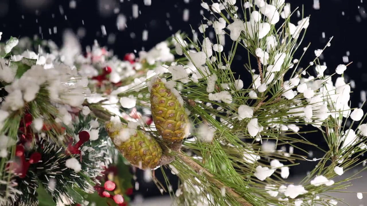 冬夜，圣诞雪花落在松树树枝上，点缀着绿红的花环。视频素材