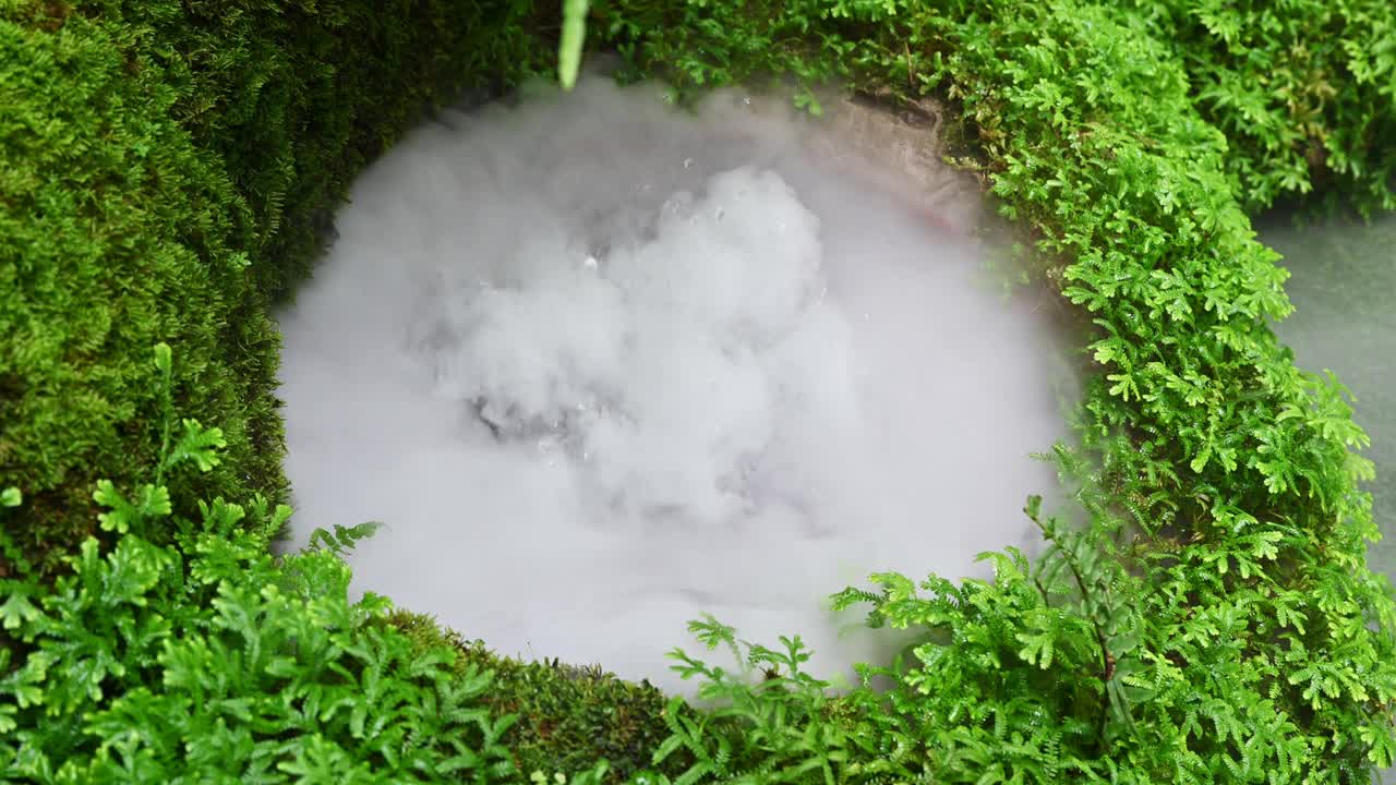 用热带雨林植物在花园里进行人工雾化视频素材