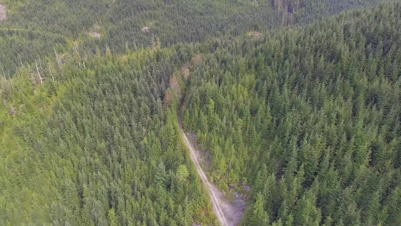 茂密的雨林中四车道的高空天线视频素材