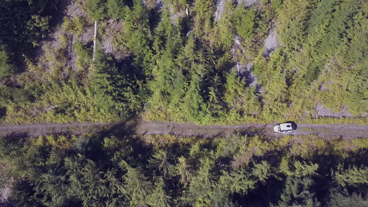 鸟瞰图的四驱车森林道路视频素材