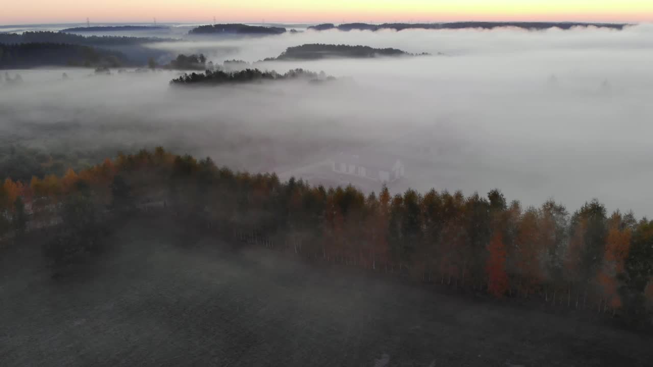 鸟瞰图。朦胧乡村的日出。魔法雾到地平线。壮丽的自然景观。令人惊奇的鸟瞰图雾和五颜六色的树木在日出。秋天的雾景观。雄伟的雾森林视频素材