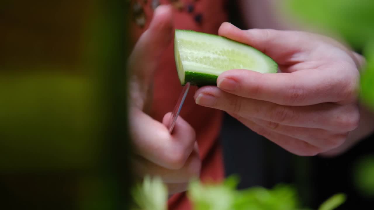 人类的双手正在做新鲜蔬菜沙拉视频素材