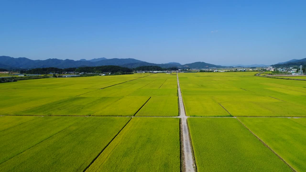 稻田风光/韩国庆尚北道尚州市视频素材