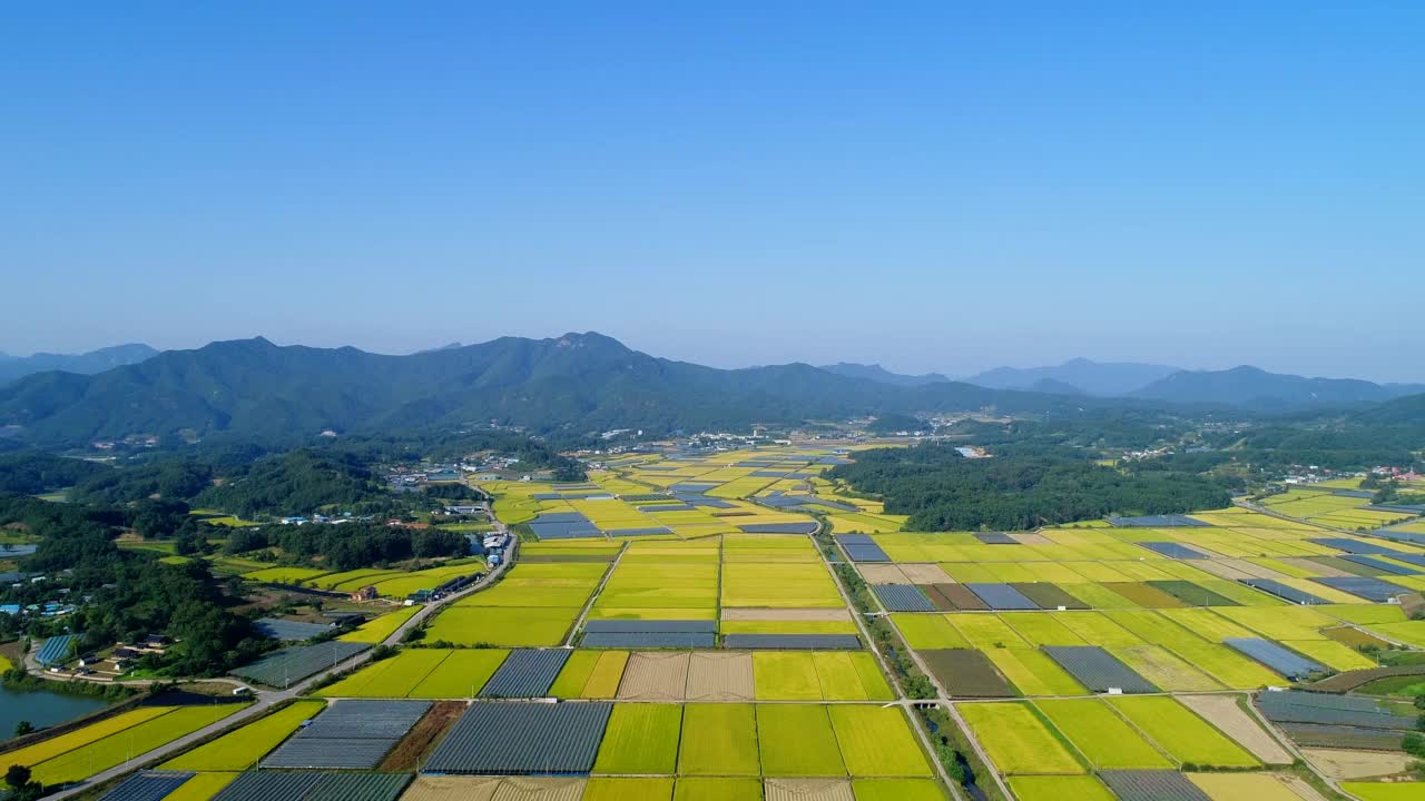 稻田风光/韩国庆尚北道尚州市视频素材