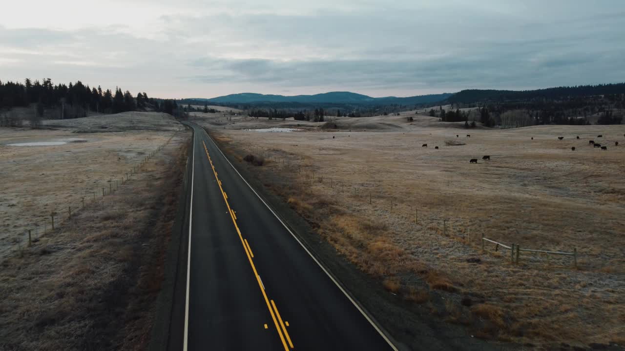 无人机拍摄的一辆运输卡车在乡村公路上行驶视频素材